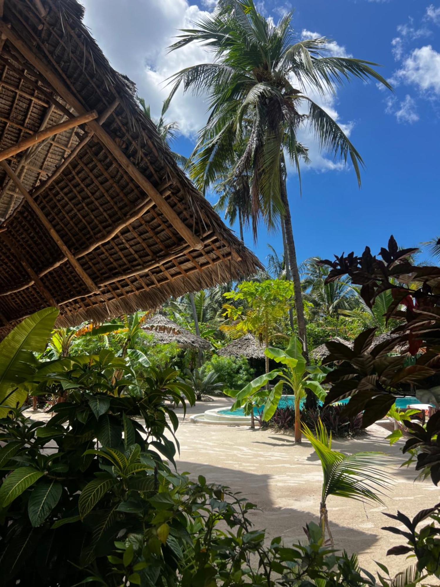 Boutique Villa Unaweza Matemwe  Bagian luar foto